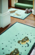 duck rugs