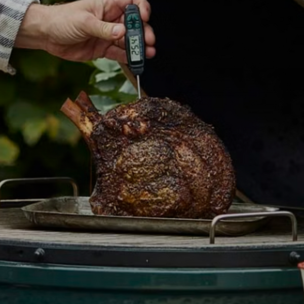 big green egg low and slow bbq