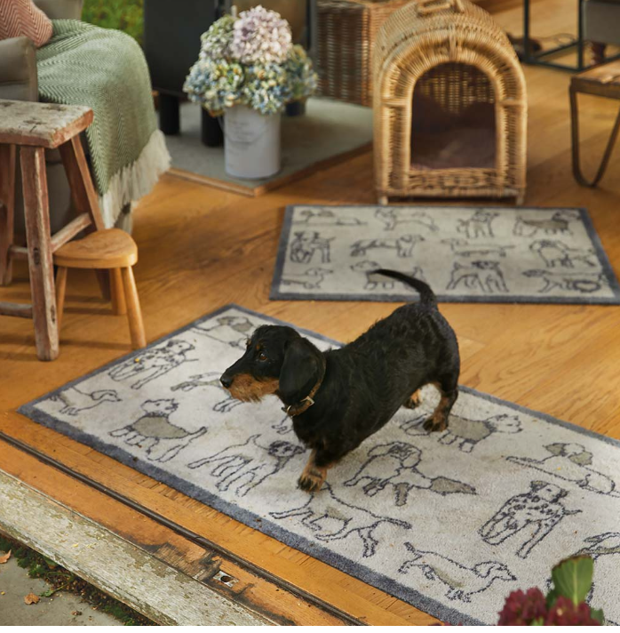 dachshund on hug rug dog mat