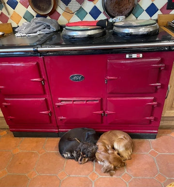 dogs next to red aga